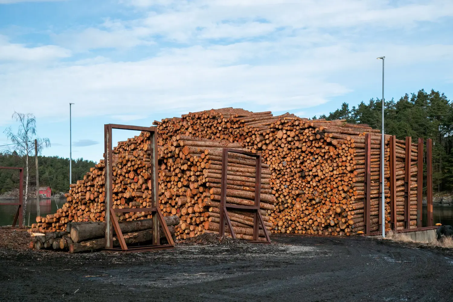 Kapasiteten på Utbjoa tømmerkai kan auka frå 800 til 2500 kubikkmeter. Nå blir tømmeret blir flytta rundt, når det rykkar fram i køen for frakt. – I dag må nesten 50 prosent leggjast på baklager, seier Magnus Frøyland, leiar i Vindafjord skogeigarlag. Foto: Kristian Risanger