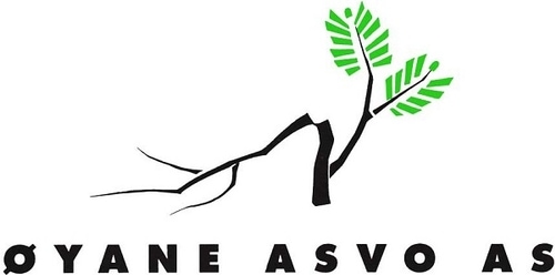 Øyane Asvo logo